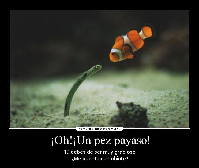 ¡Oh!¡Un pez payaso! -