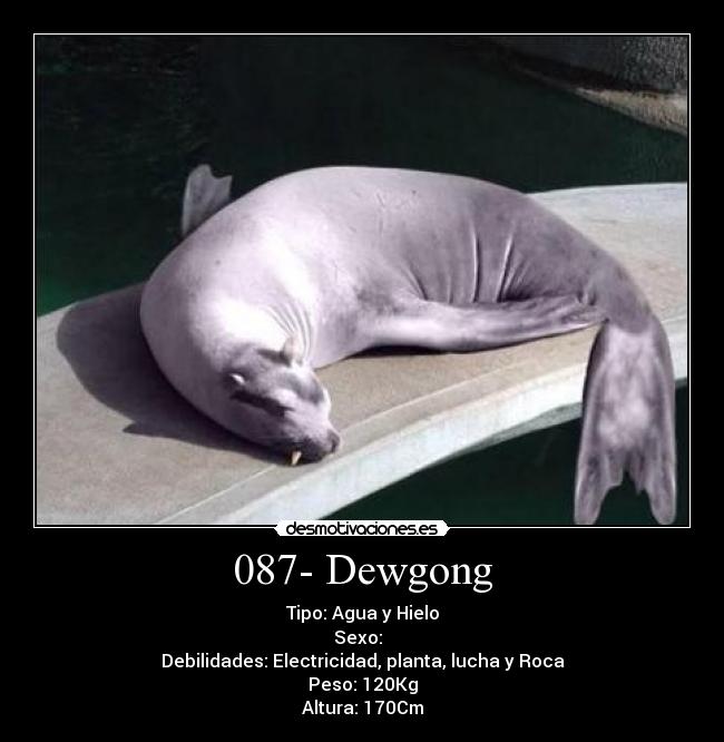 087- Dewgong - 