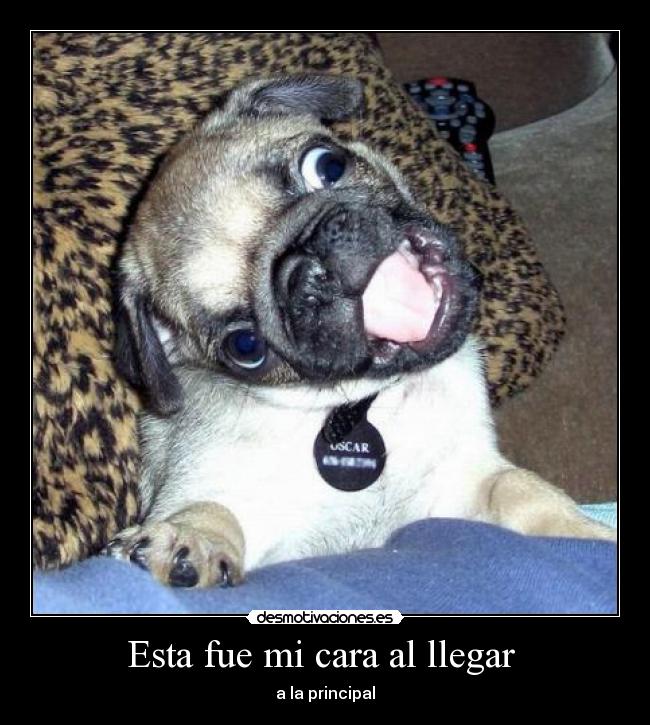 Esta fue mi cara al llegar -