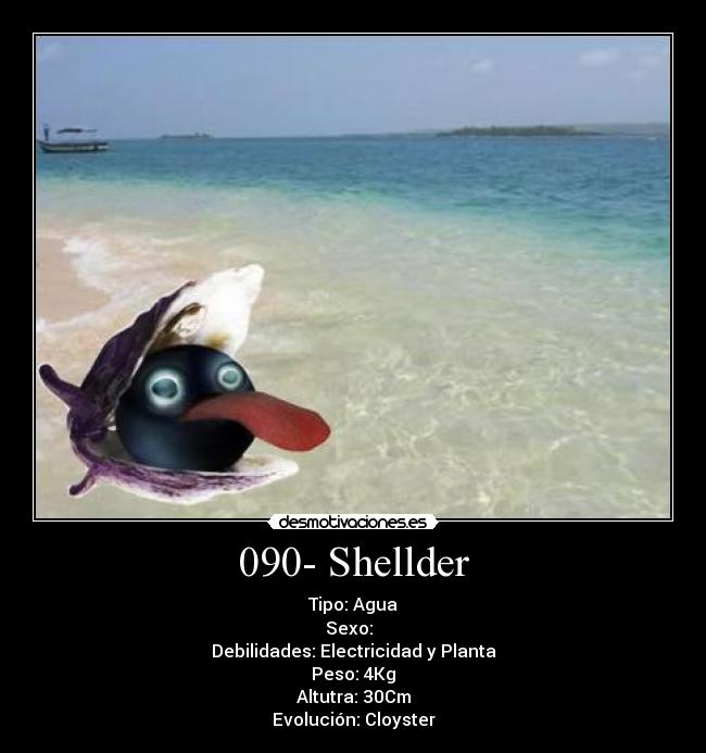 090- Shellder - Tipo: Agua
Sexo: ♂♀
Debilidades: Electricidad y Planta
Peso: 4Kg
Altutra: 30Cm
Evolución: Cloyster