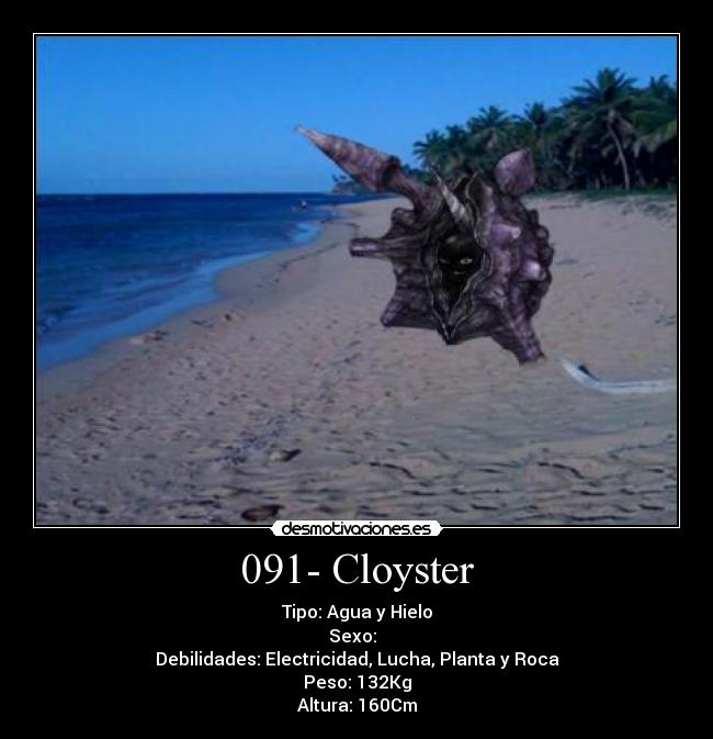 091- Cloyster - 