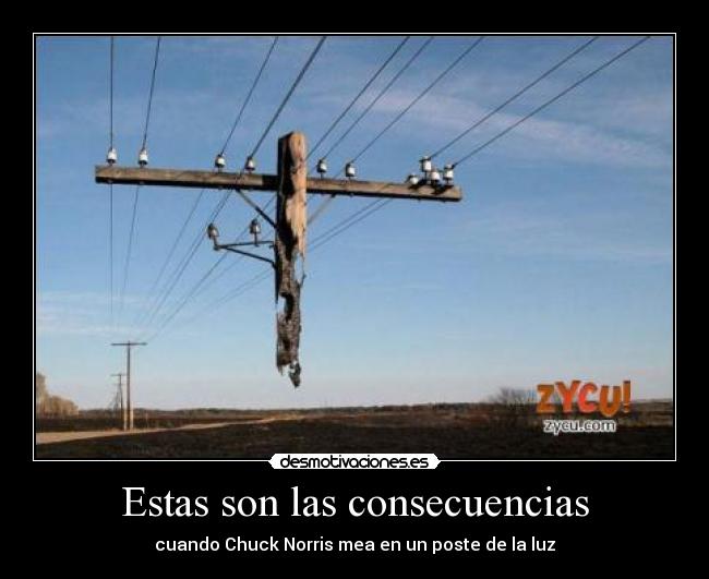 Estas son las consecuencias - cuando Chuck Norris mea en un poste de la luz