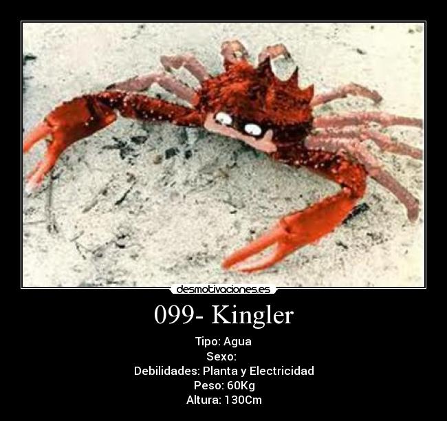 099- Kingler - Tipo: Agua
Sexo: ♂♀
Debilidades: Planta y Electricidad
Peso: 60Kg
Altura: 130Cm