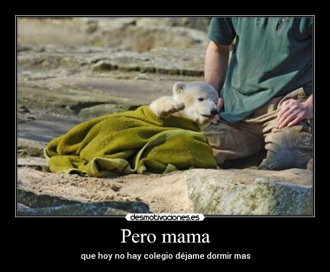 Pero mama -