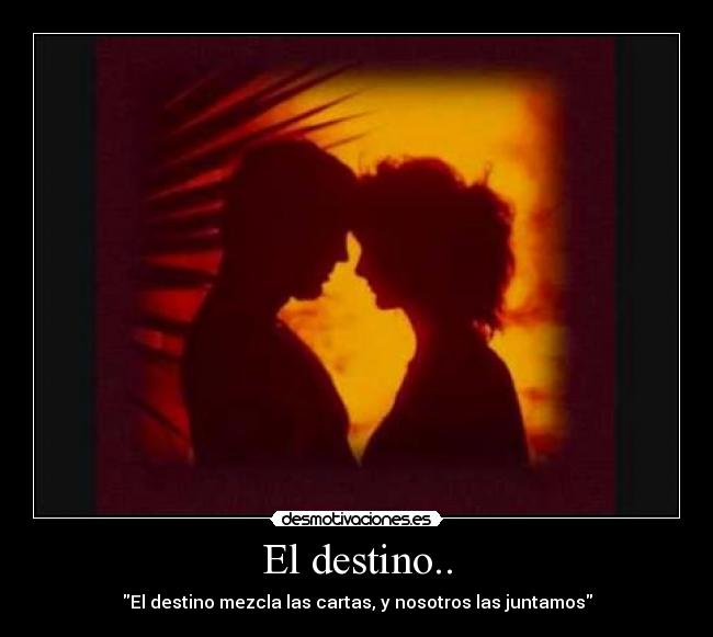 El destino.. - El destino mezcla las cartas, y nosotros las juntamos