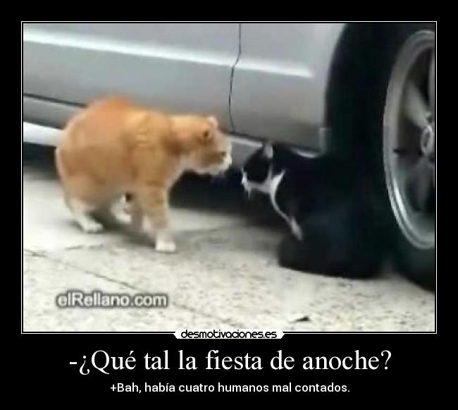 -¿Qué tal la fiesta de anoche? - +Bah, había cuatro humanos mal contados.
