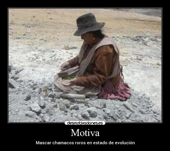 Motiva - 