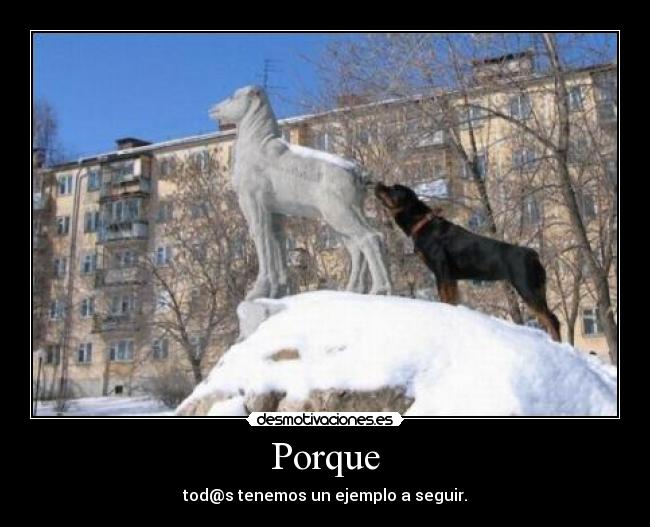Porque -