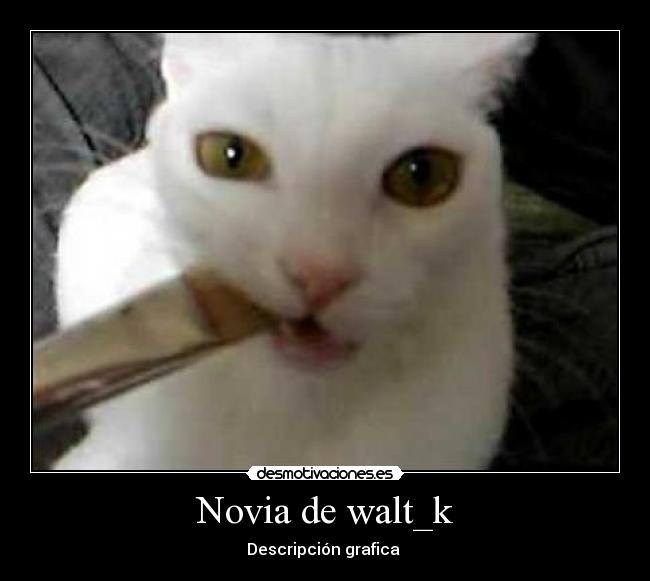 Novia de walt_k - Descripción grafica