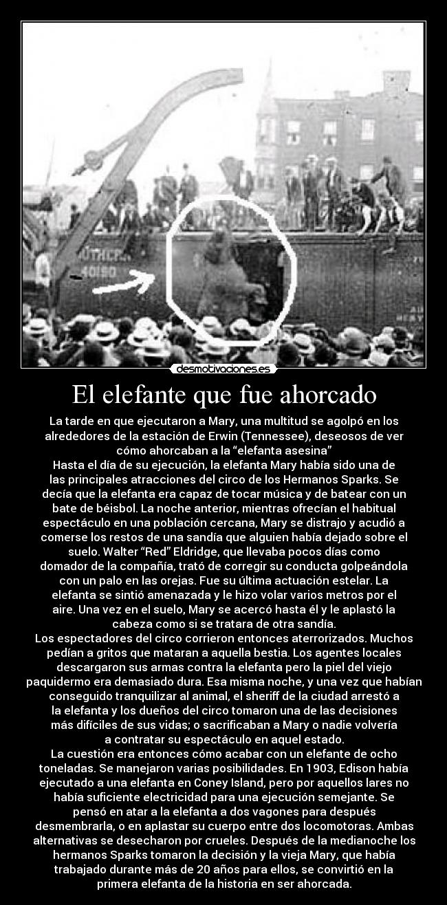 El elefante que fue ahorcado -