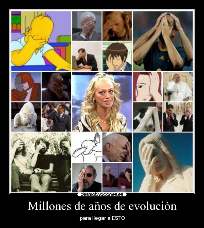 Millones de años de evolución -