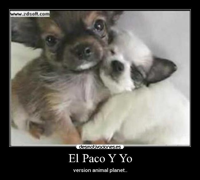 El Paco Y Yo -