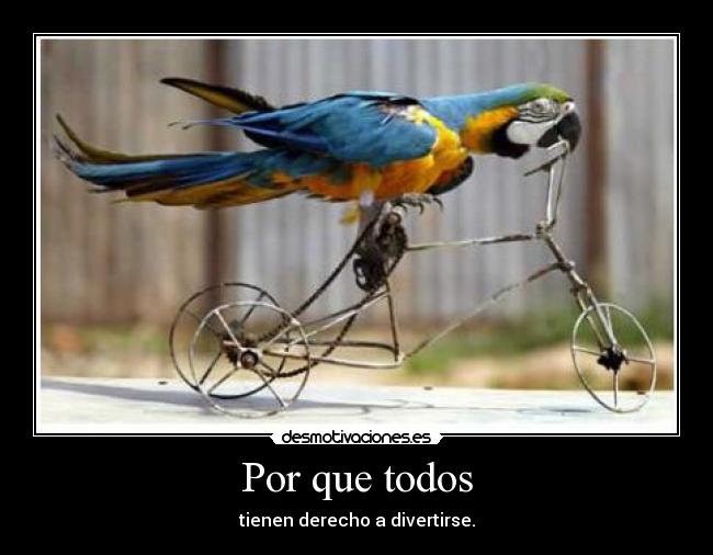 Por que todos - tienen derecho a divertirse.