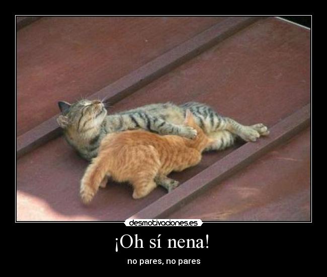 ¡Oh sí nena! -