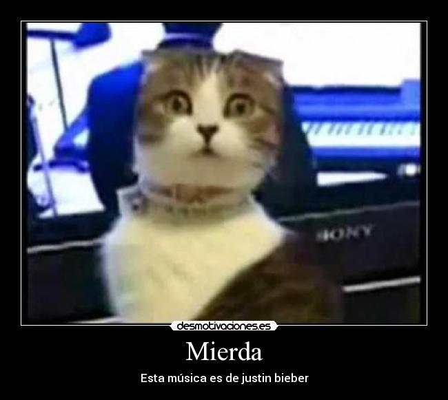 Mierda - Esta música es de justin bieber