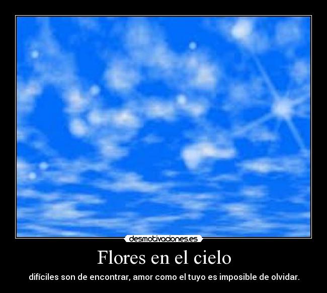 Flores en el cielo - 