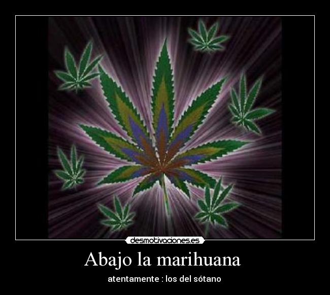 Abajo la marihuana -