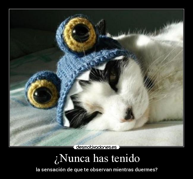 ¿Nunca has tenido -