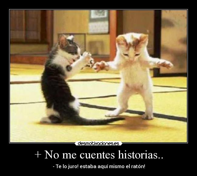 + No me cuentes historias.. -
