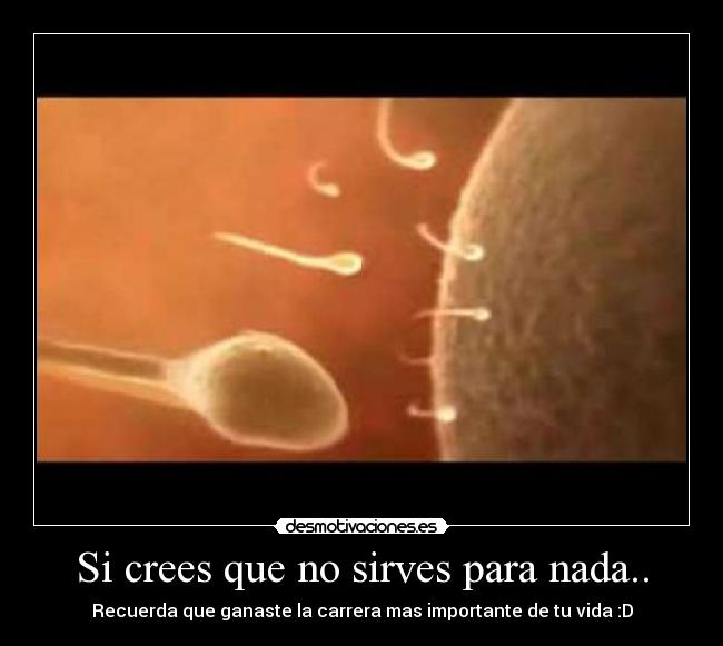 Si crees que no sirves para nada.. - 