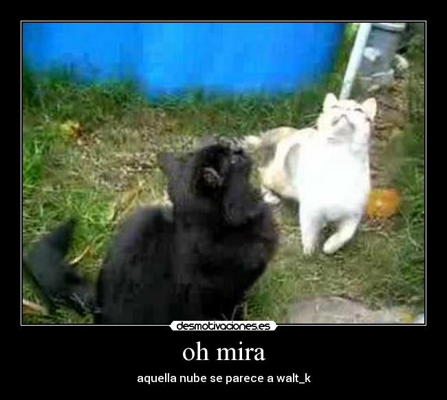 oh mira - aquella nube se parece a walt_k