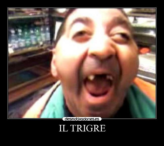 IL TRIGRE -