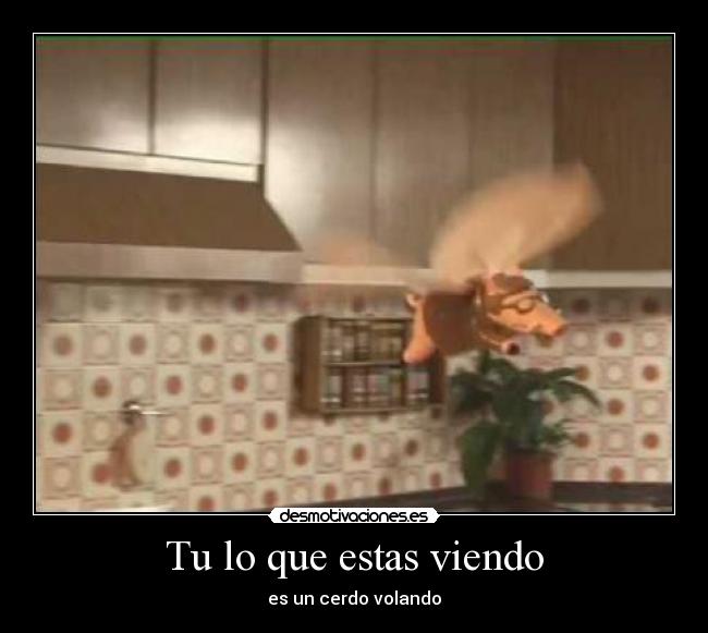 Tu lo que estas viendo -