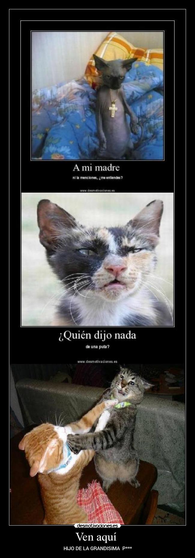 Ven aquí  - HIJO DE LA GRANDISIMA  P***