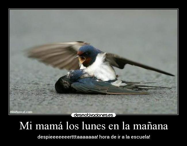 Mi mamá los lunes en la mañana - 