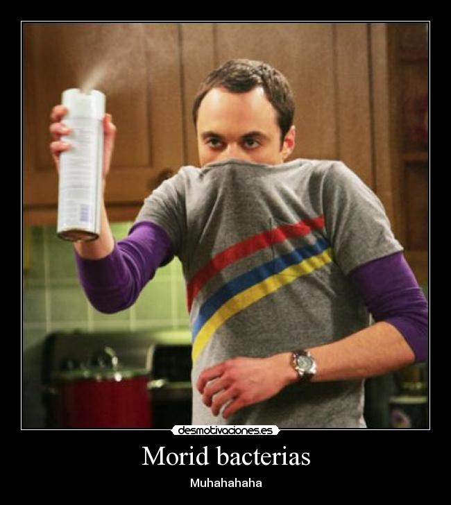 Morid bacterias - 