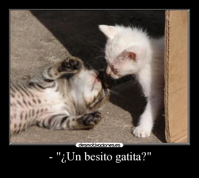 - ¿Un besito gatita? - 