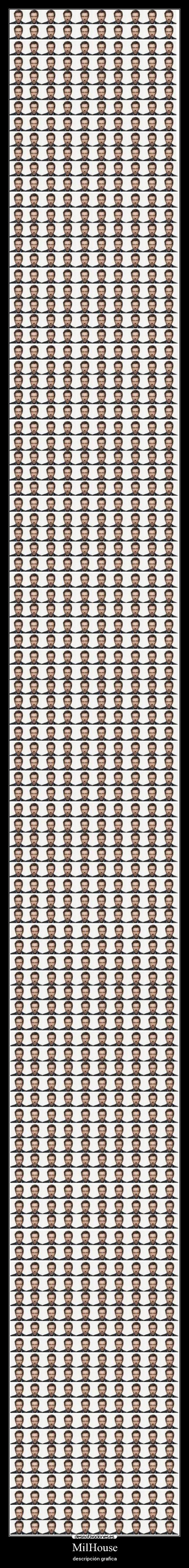 MilHouse - descripción grafica