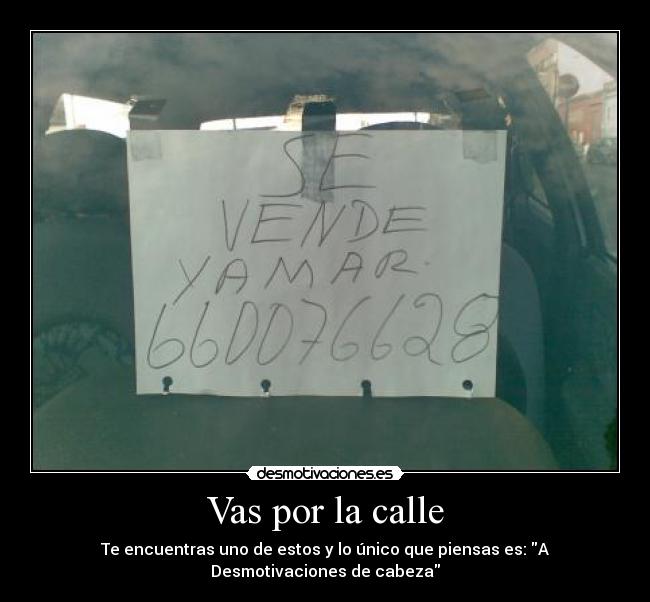 Vas por la calle - Te encuentras uno de estos y lo único que piensas es: A Desmotivaciones de cabeza