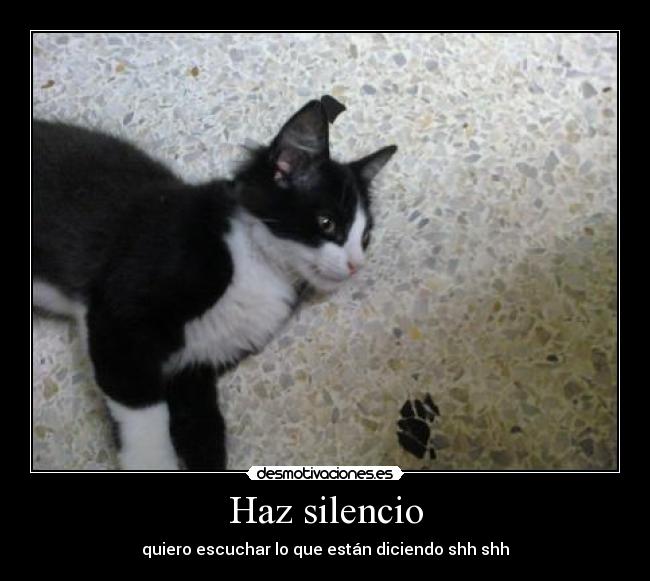 Haz silencio - quiero escuchar lo que están diciendo shh shh