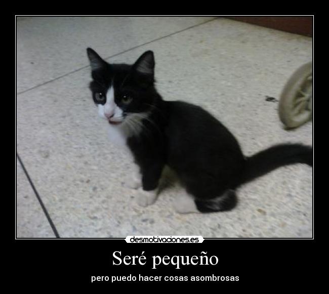 Seré pequeño - pero puedo hacer cosas asombrosas