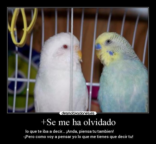 +Se me ha olvidado - lo que te iba a decir... ¡Anda, piensa tu tambien!                  
-¡Pero como voy a pensar yo lo que me tienes que decir tu!