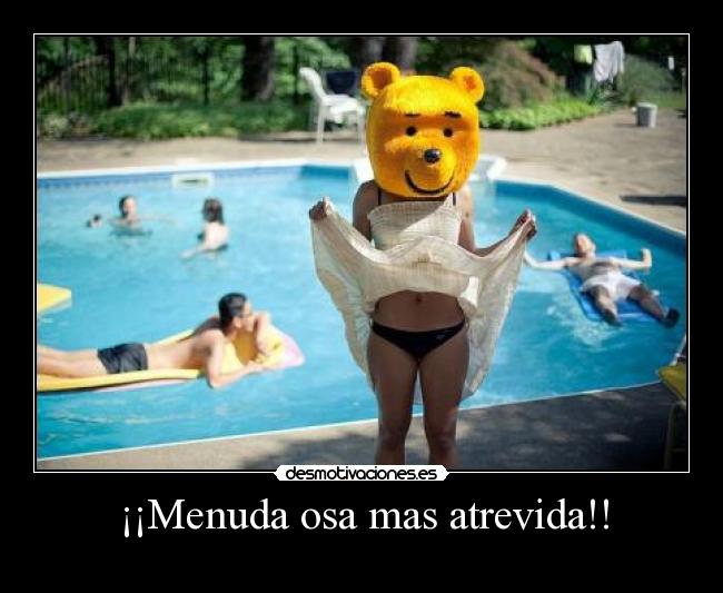 ¡¡Menuda osa mas atrevida!! - 