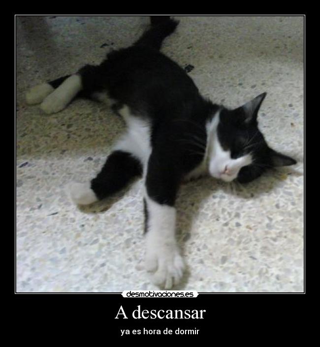 A descansar - ya es hora de dormir