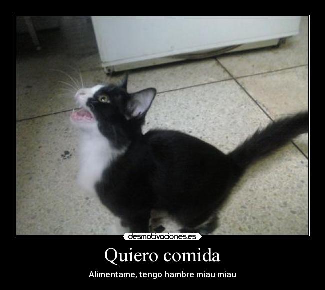 Quiero comida -