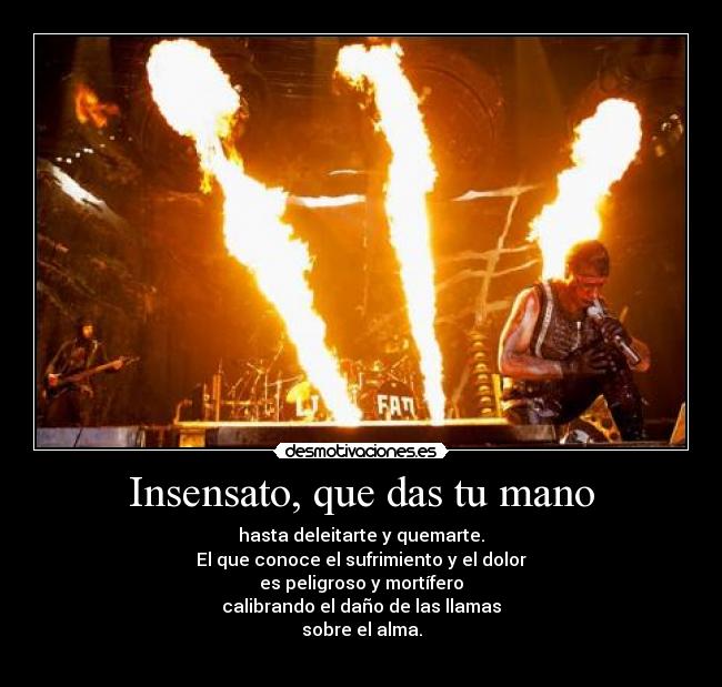 carteles rammstein desmotivaciones