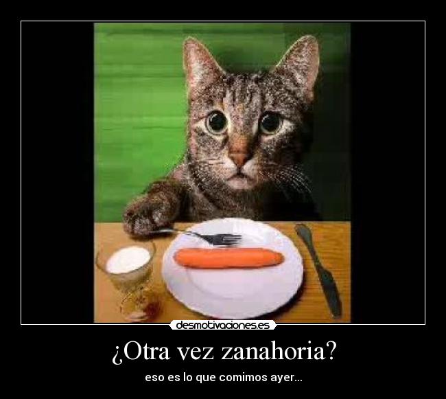 ¿Otra vez zanahoria? - eso es lo que comimos ayer...