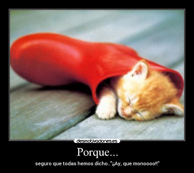 Porque... - seguro que todas hemos dicho..¡¡Ay, que monoooo!!