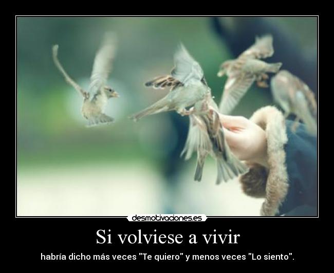 Si volviese a vivir - habría dicho más veces Te quiero y menos veces Lo siento.