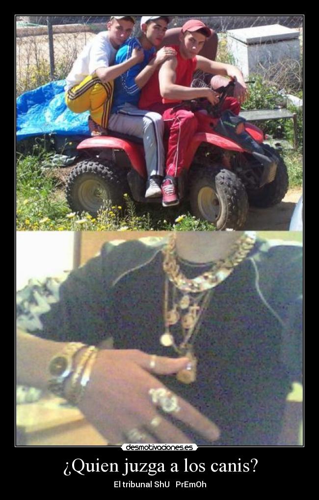 carteles alexiito18 desmotivaciones