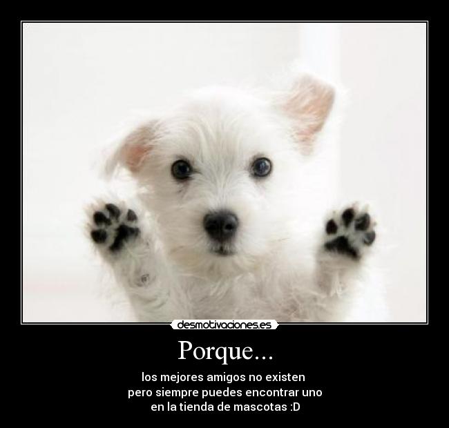 Porque... - los mejores amigos no existen
pero siempre puedes encontrar uno
en la tienda de mascotas :D