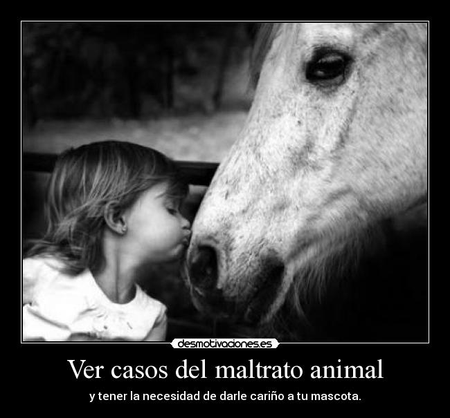 Ver casos del maltrato animal -