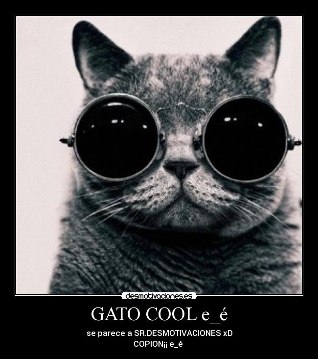GATO COOL e_é - se parece a SR.DESMOTIVACIONES xD
COPION¡¡ e_é