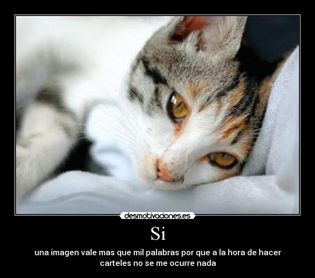 Si - una imagen vale mas que mil palabras por que a la hora de hacer
carteles no se me ocurre nada