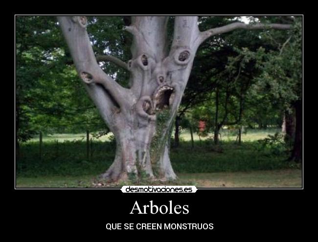Arboles - QUE SE CREEN MONSTRUOS