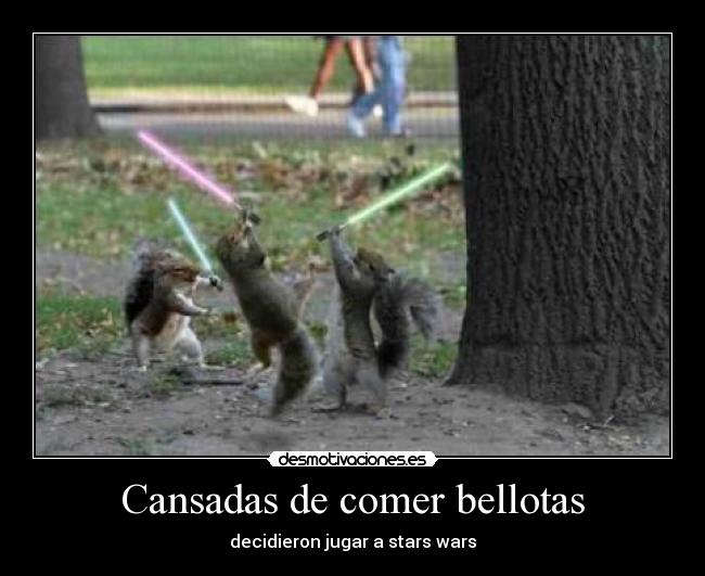 Cansadas de comer bellotas - decidieron jugar a stars wars